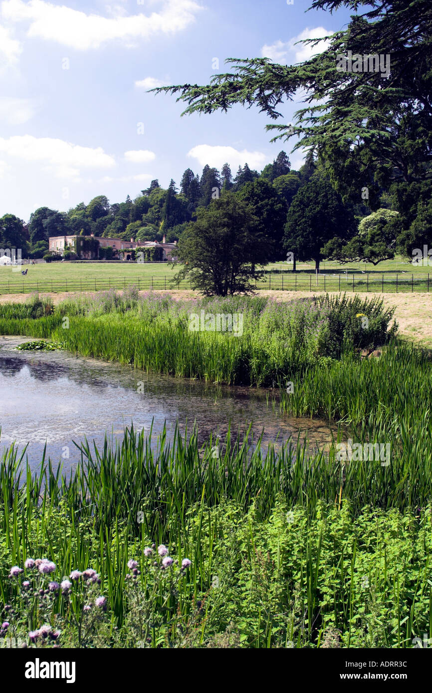 Killerton house is set in the heart of the Devonshire countryside in England Now part of the National Trust Stock Photo