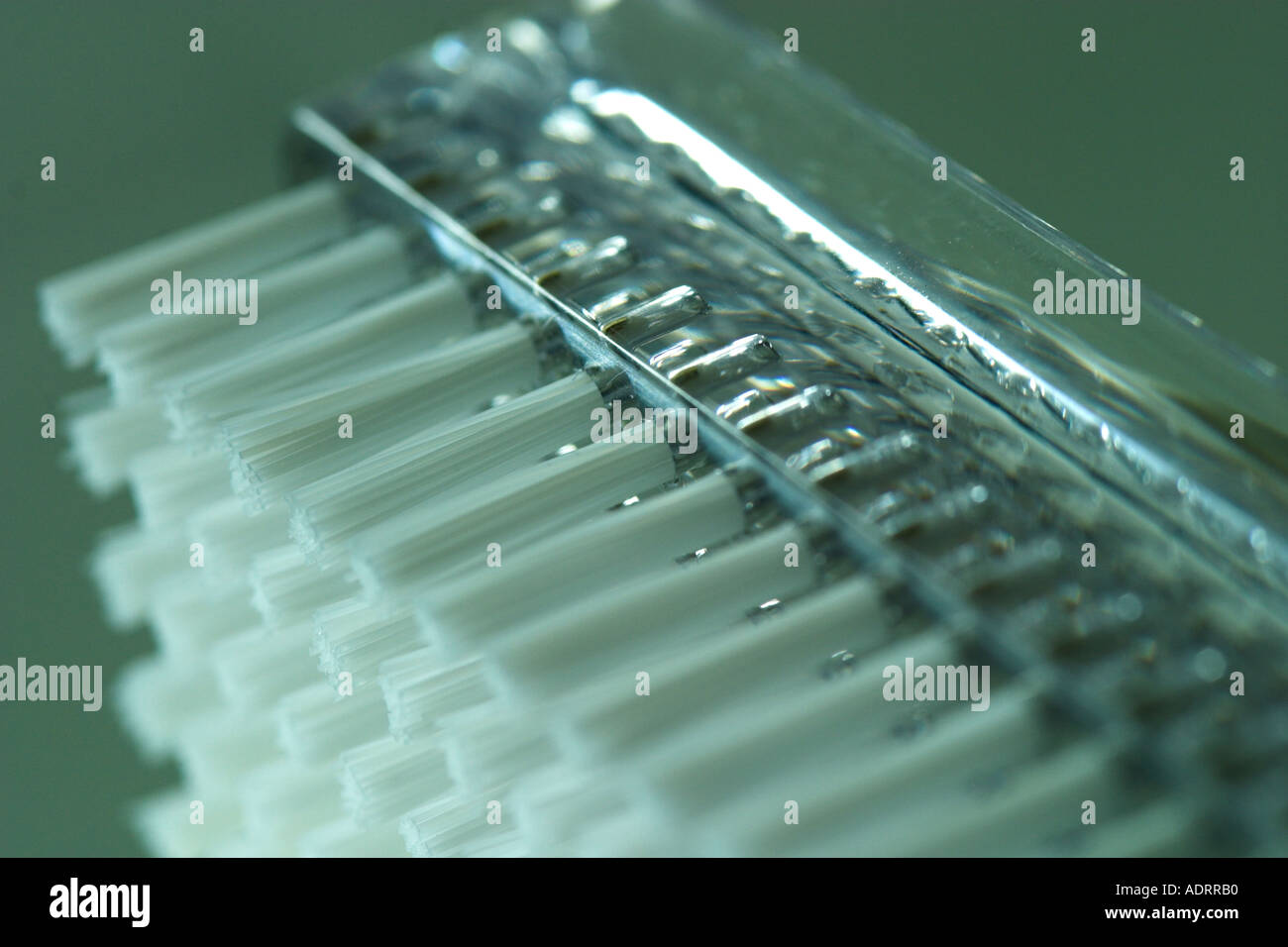 A close up macro of a nail brush Stock Photo