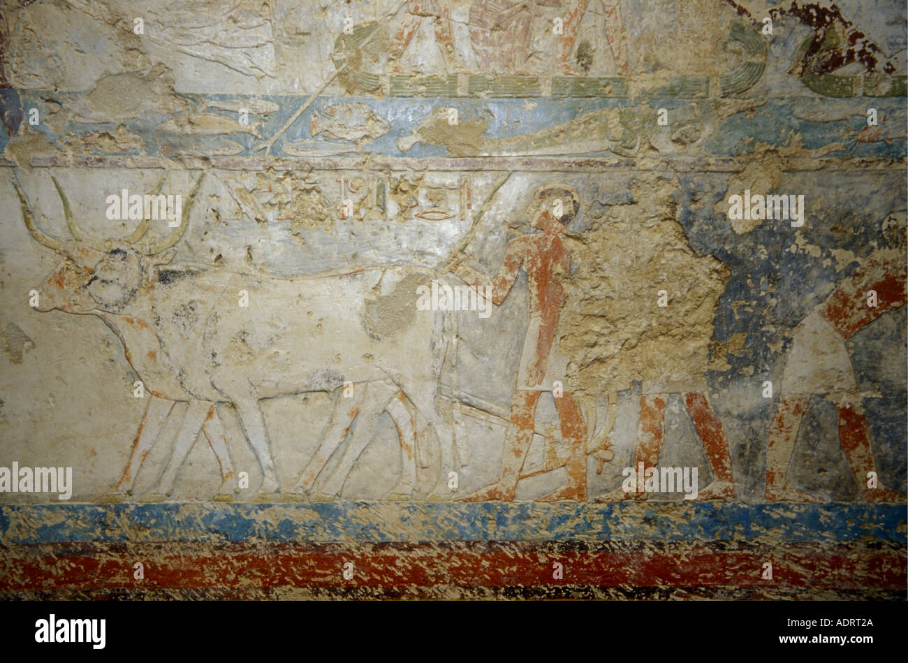 Egypt murals of farm life under the Pharaohs in the cave tombs at Mir, Middle Egypt are dated from 6-12th dynasties. Stock Photo