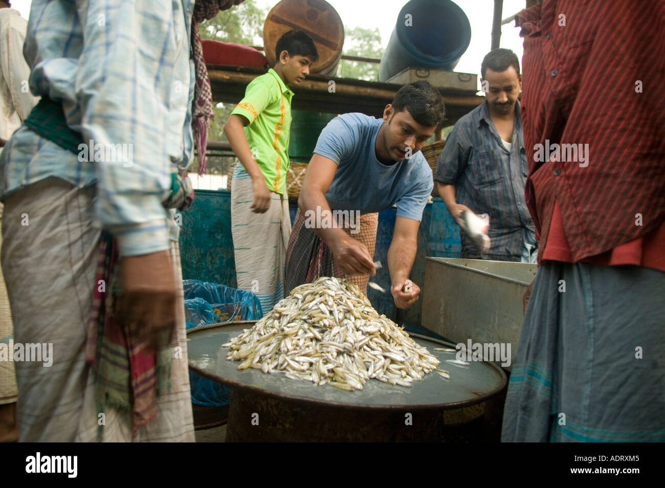 The fish market in Dhaka Bangladesh 2006 Stock Photo Alamy