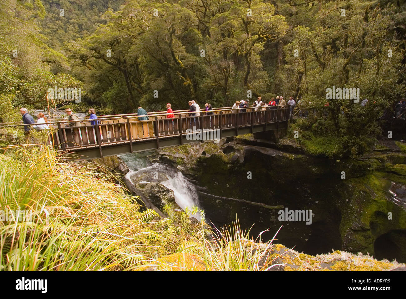 Bridge over cleddau hires stock photography and images Alamy