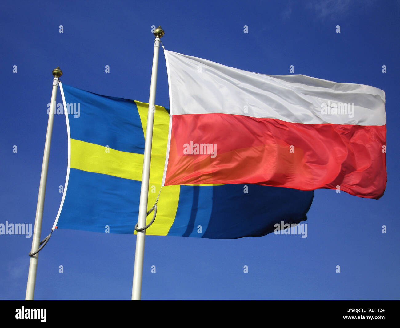 14,428 Polish Swedish Stock Photos, High-Res Pictures, and Images - Getty  Images