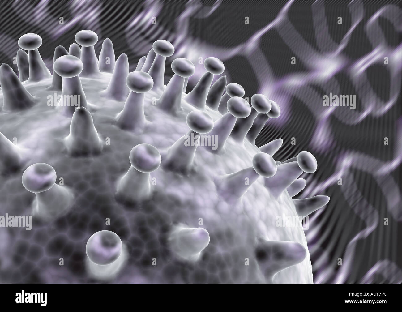 Microscopy of atoms hi-res stock photography and images - Alamy