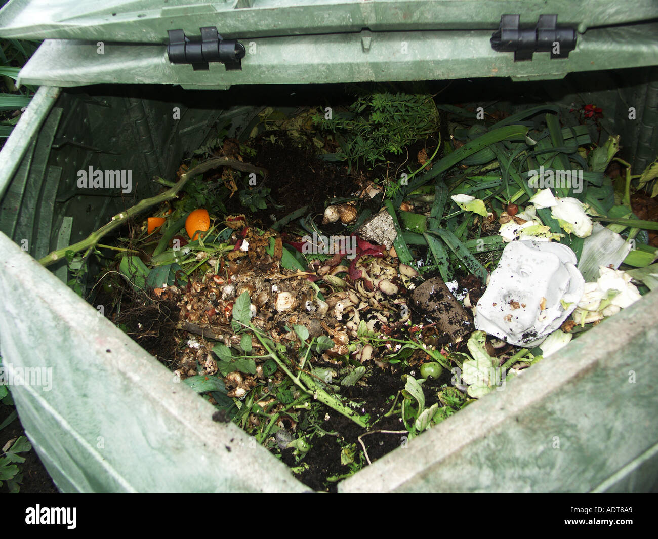 Compost Bin contents Stock Photo - Alamy