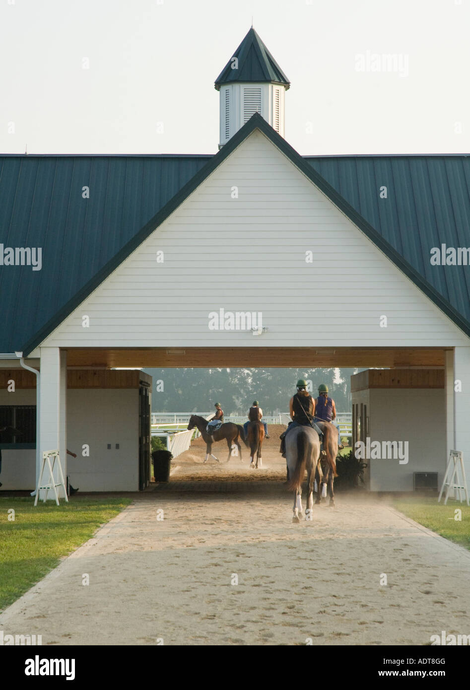 Thoroughbred horse exercise jockey hires stock photography and images