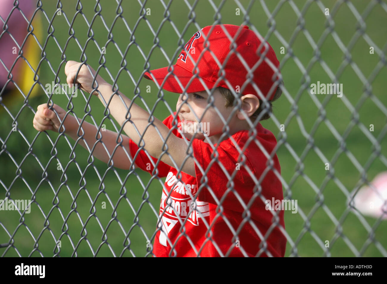 baseball boy watching through fence Stock Photo Alamy