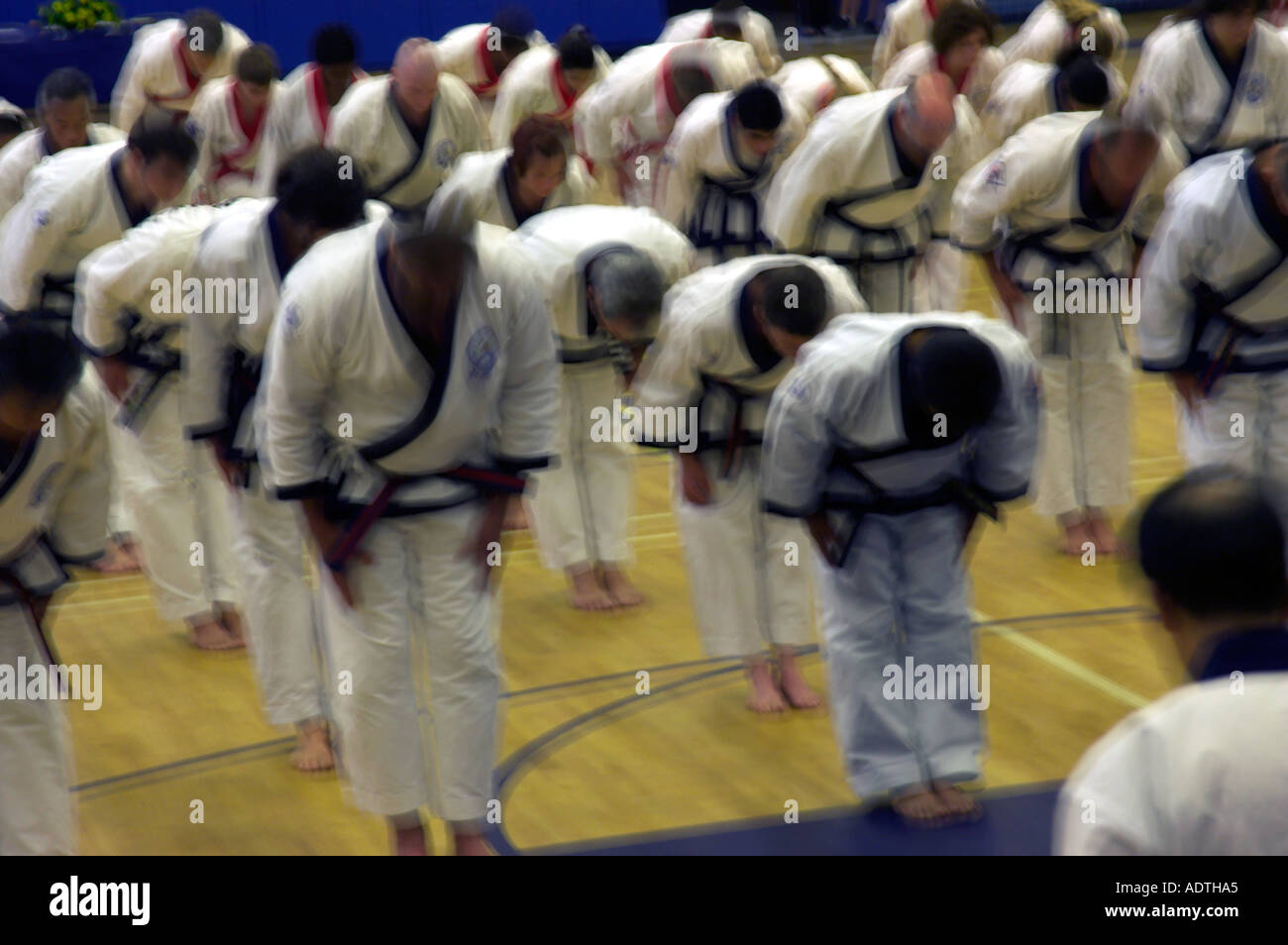 karate class bow in Stock Photo Alamy