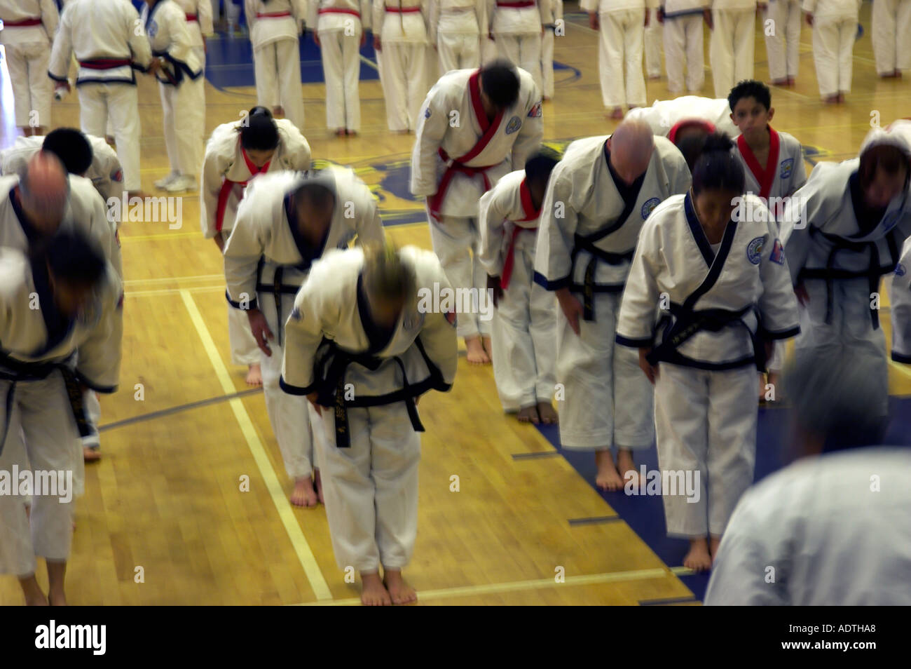 karate class bow in Stock Photo Alamy