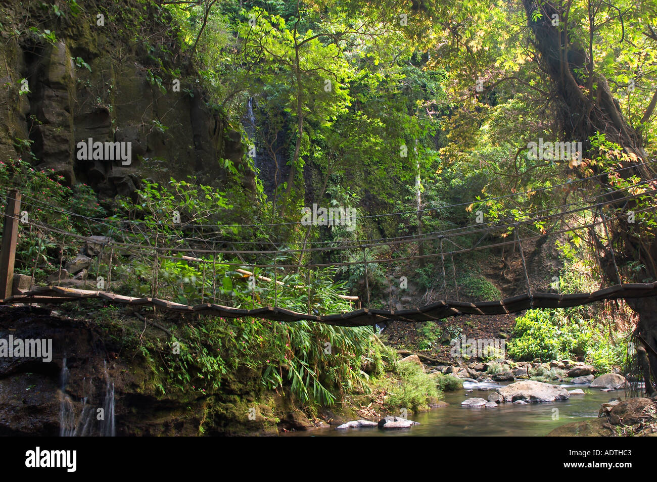 swing bridge Los Chorros Falls Costa Rica Stock Photo Alamy