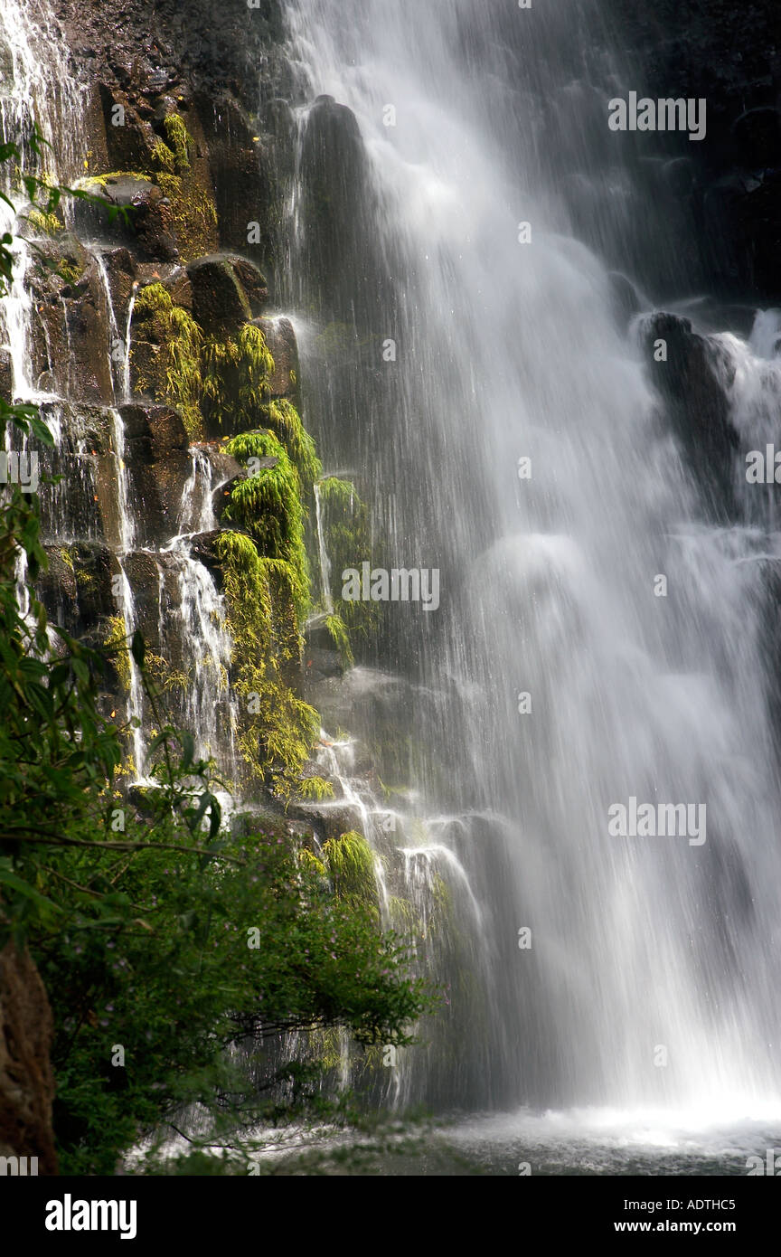 Los Chorros Falls Costa Rica Stock Photo Alamy