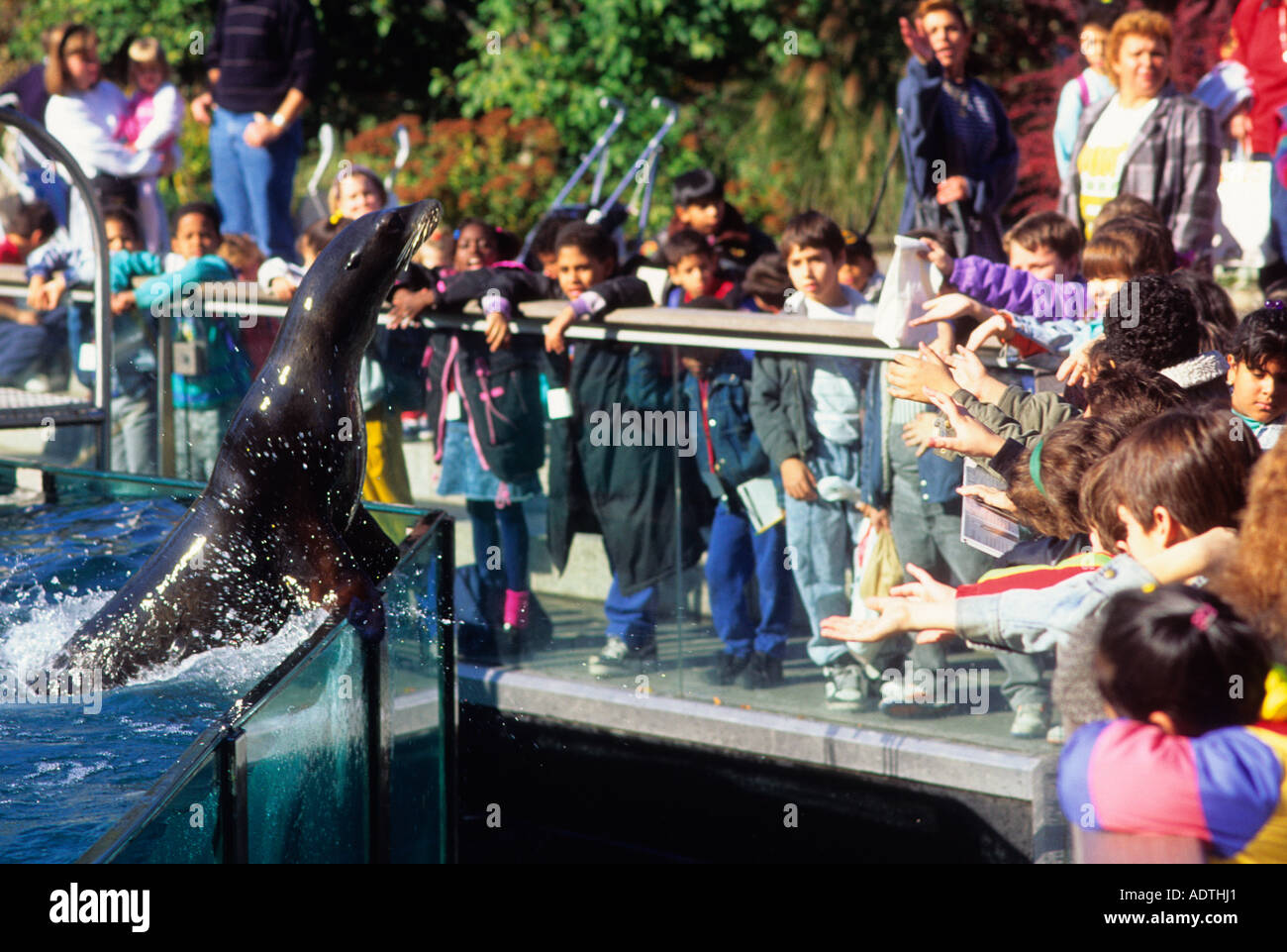 Central Park Zoo, New York City. Group of school children watching ...