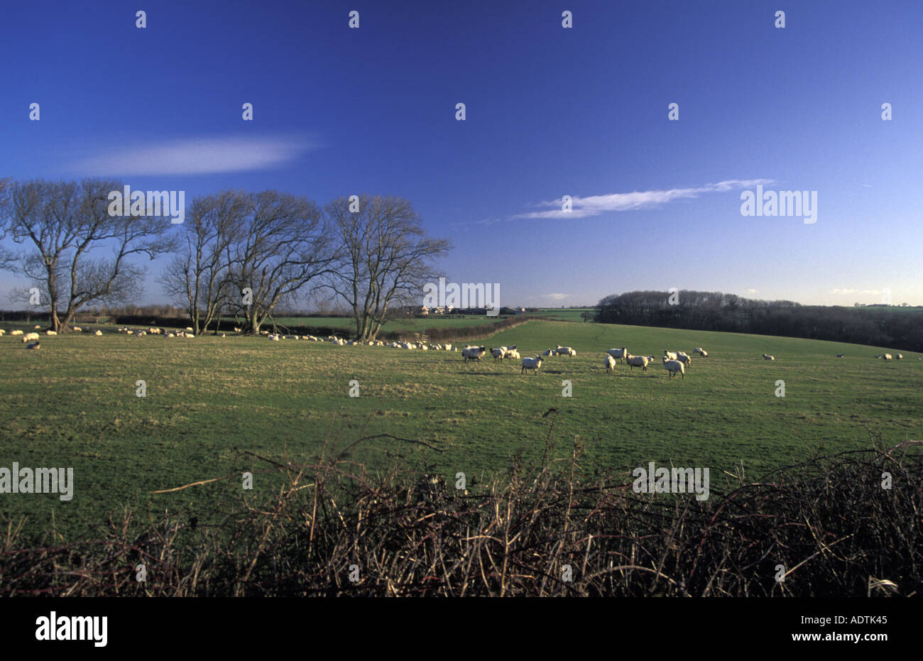 Vale of food hires stock photography and images Alamy