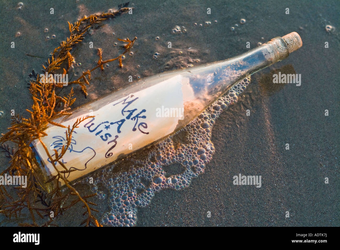 Bottle washed up on the beach with make a wish message and treasure map