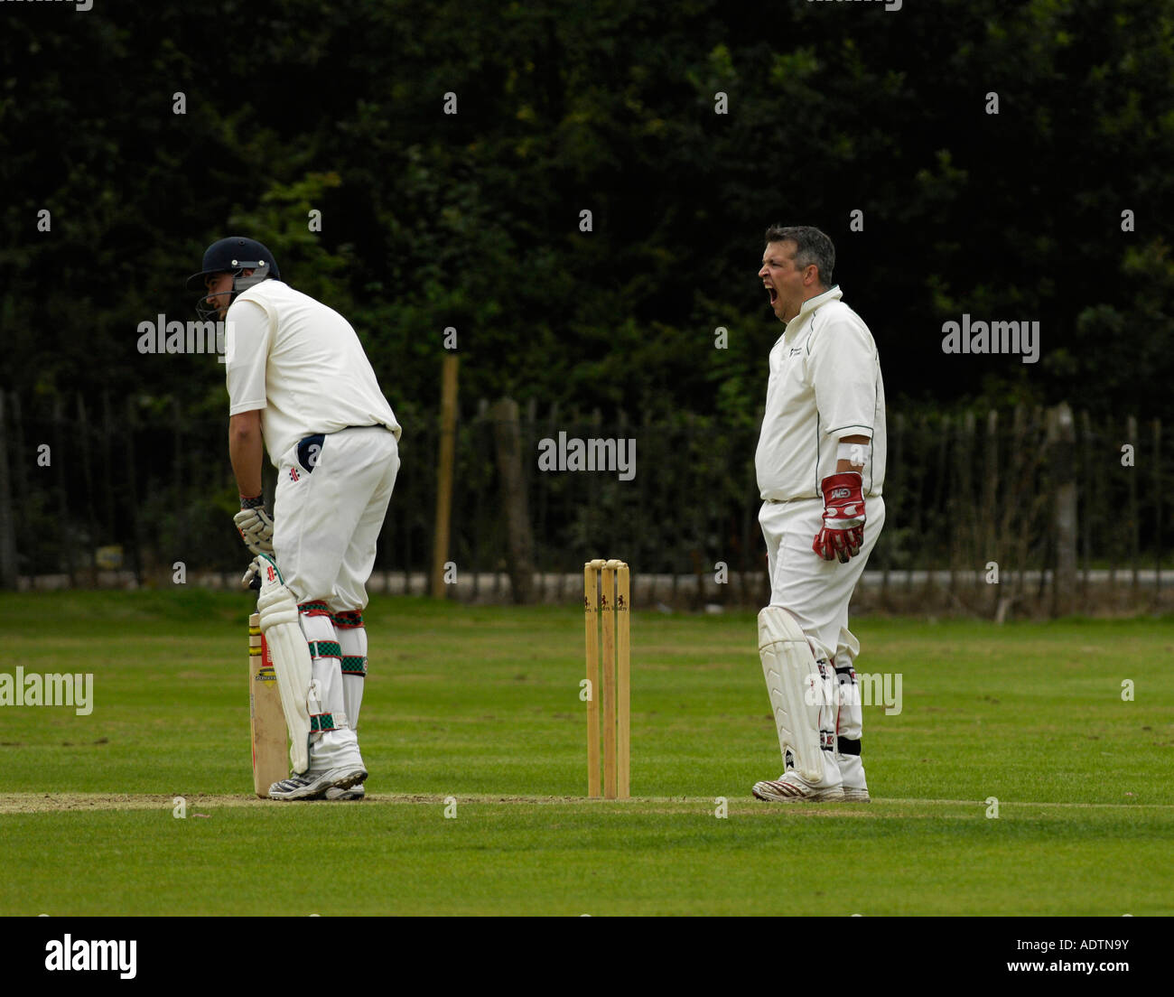 Wicketkeeper wicket keeper hires stock photography and images Alamy