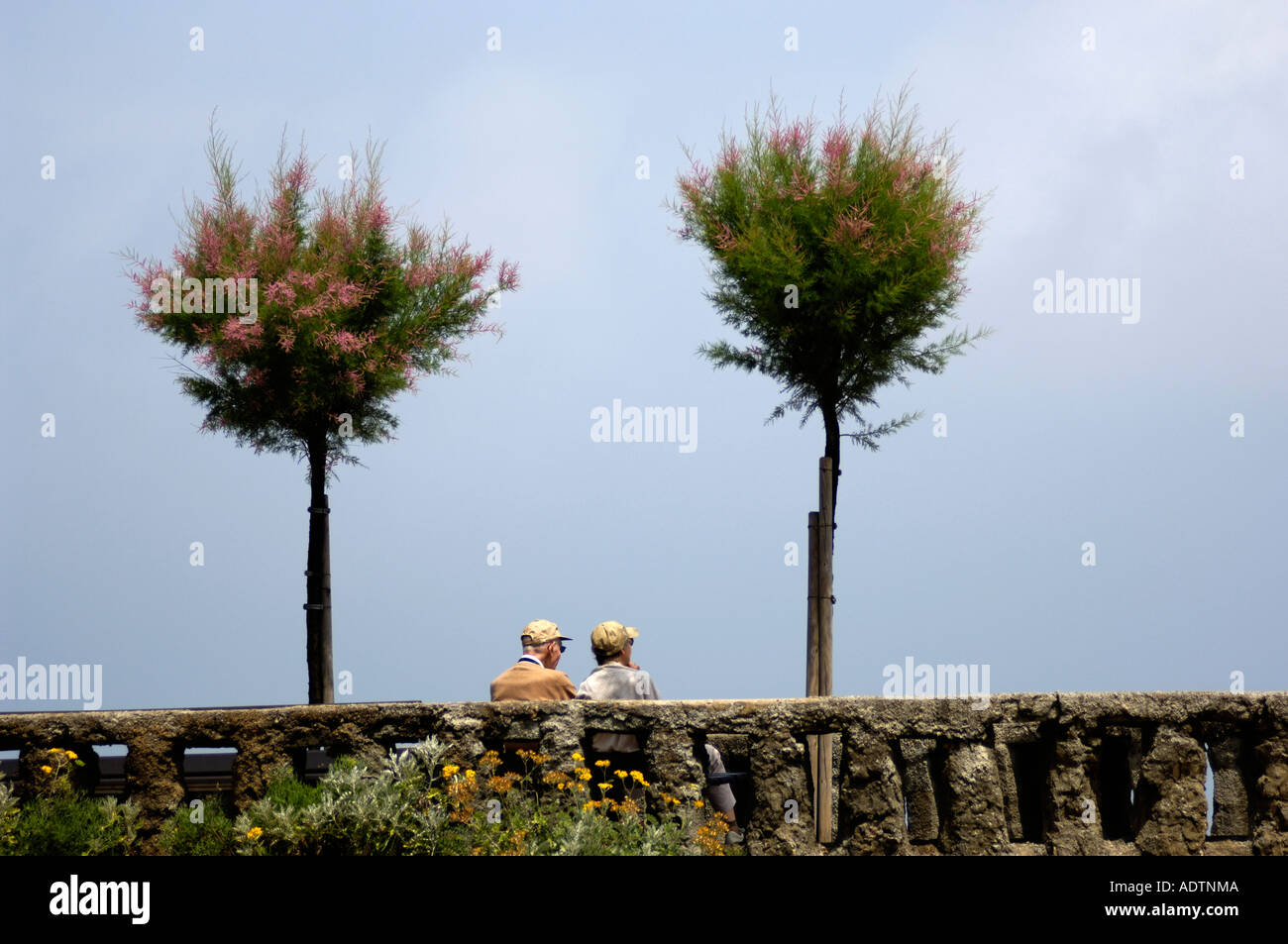 Symmetry of hi-res stock photography and images - Alamy
