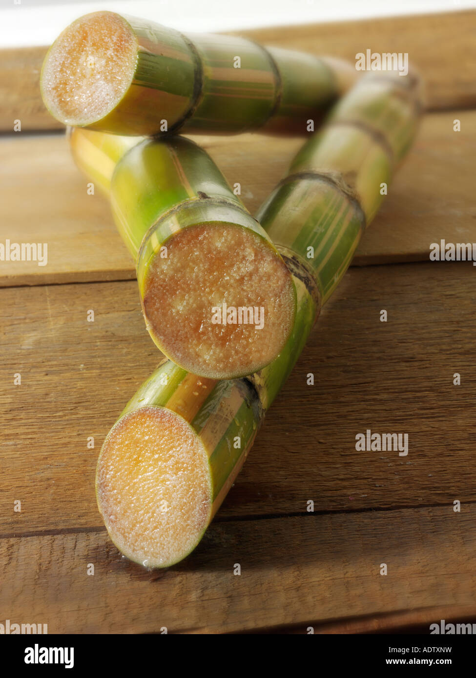 Raw sugar cane cut to show the inside Stock Photo
