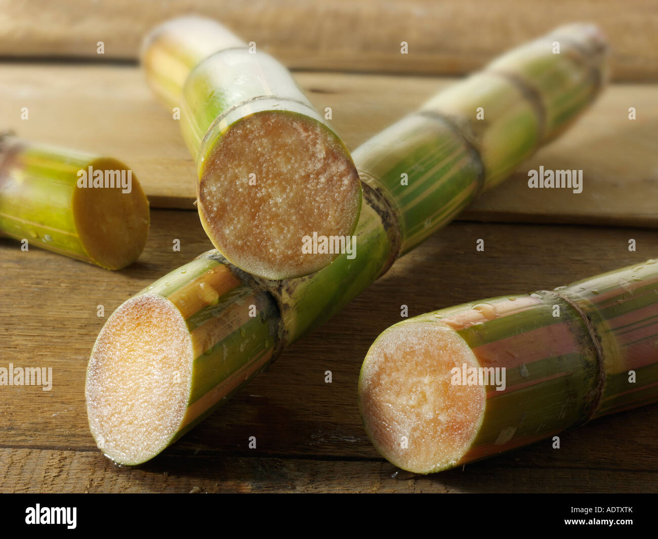 Raw sugar cane cut to show the inside Stock Photo