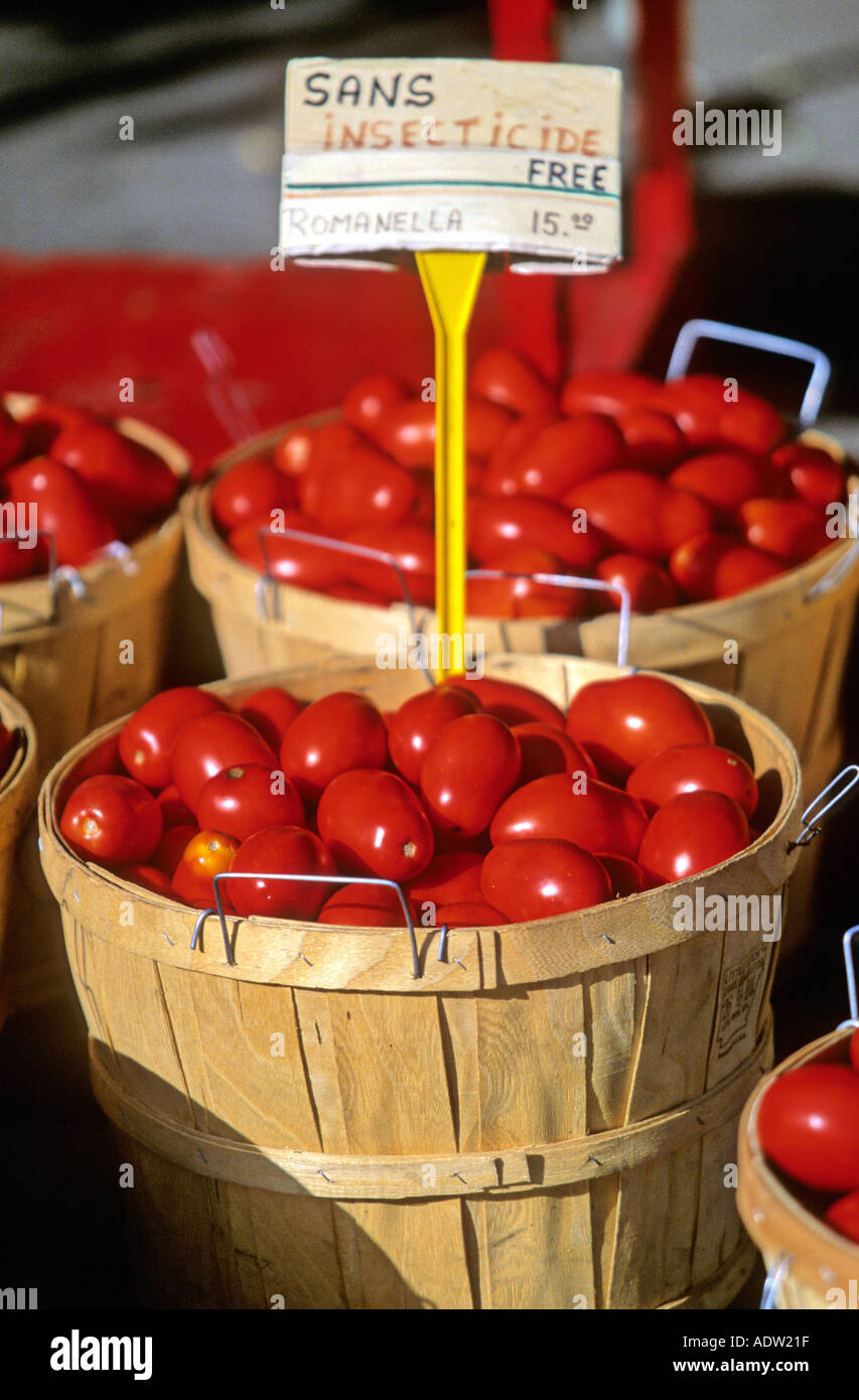Group of baskets of red tomatoes in market of Jean Talon Montreal ...