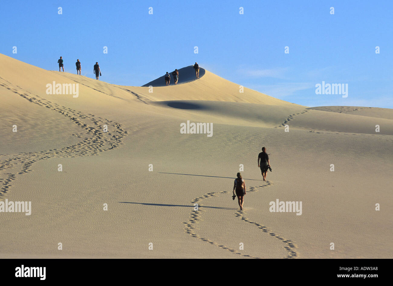 Tourist walking in desert of Bordeaux, France Stock Photo - Alamy