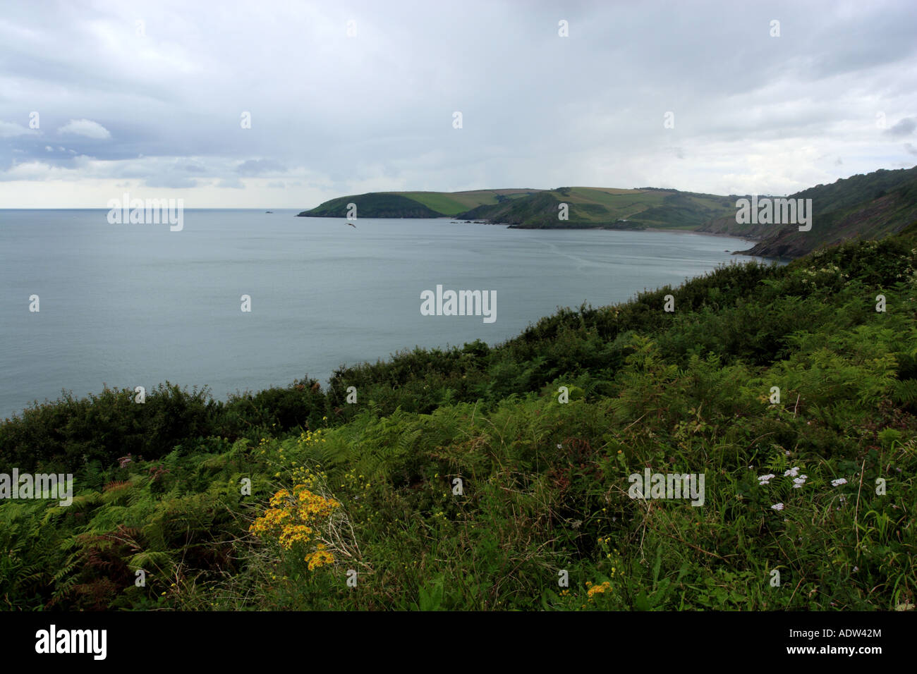 VIEW FROM SHARKHAM POINT TO SCABBACOMBE HEAD & DOWNEND POINT. Stock Photo
