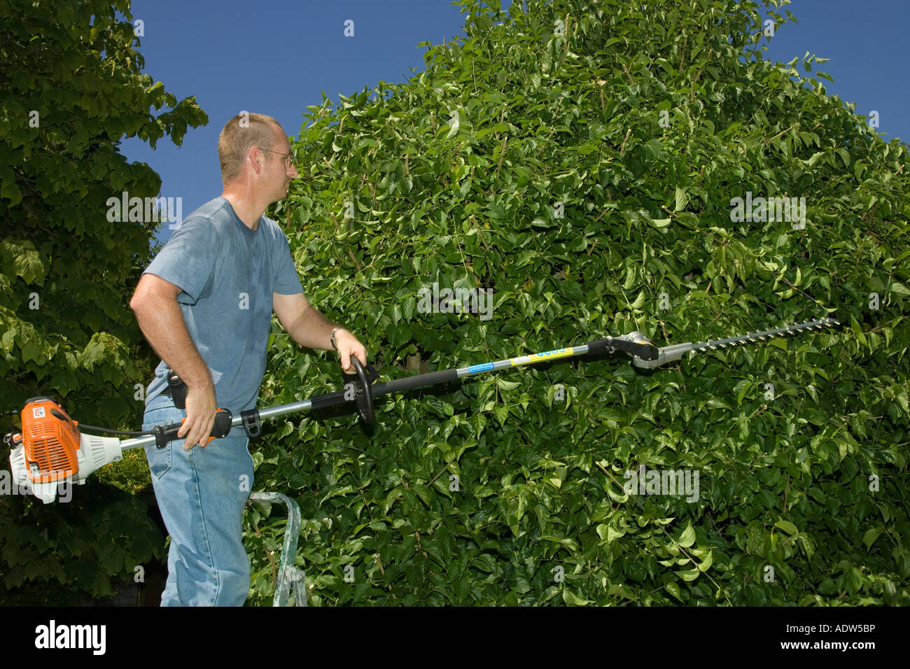 a man using a long reach hedge trimmer Stock Photo