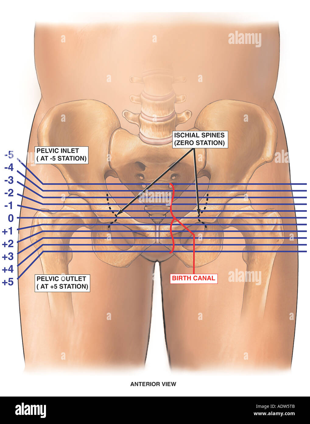 Labor stations presentation hires stock photography and images Alamy