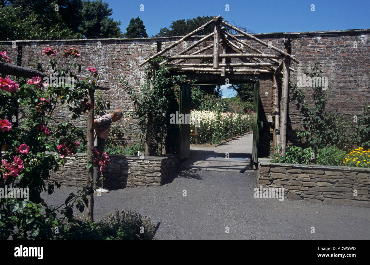 a visitor in the Lost Gardens of Heligan, Pentewan, St Austell Cornwall Stock Photo