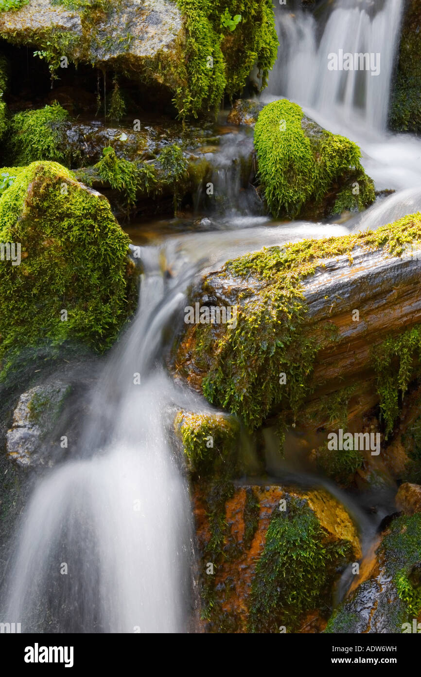 Small Waterfall Between Rocks Small waterfall between stones hi-res stock photography and images - Alamy