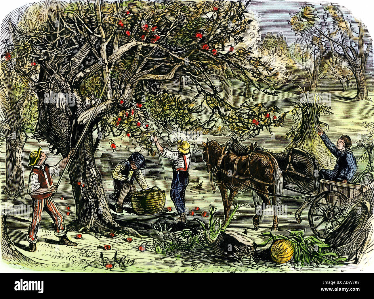 Agriculture America 1800s Stock Photos & Agriculture America 1800s