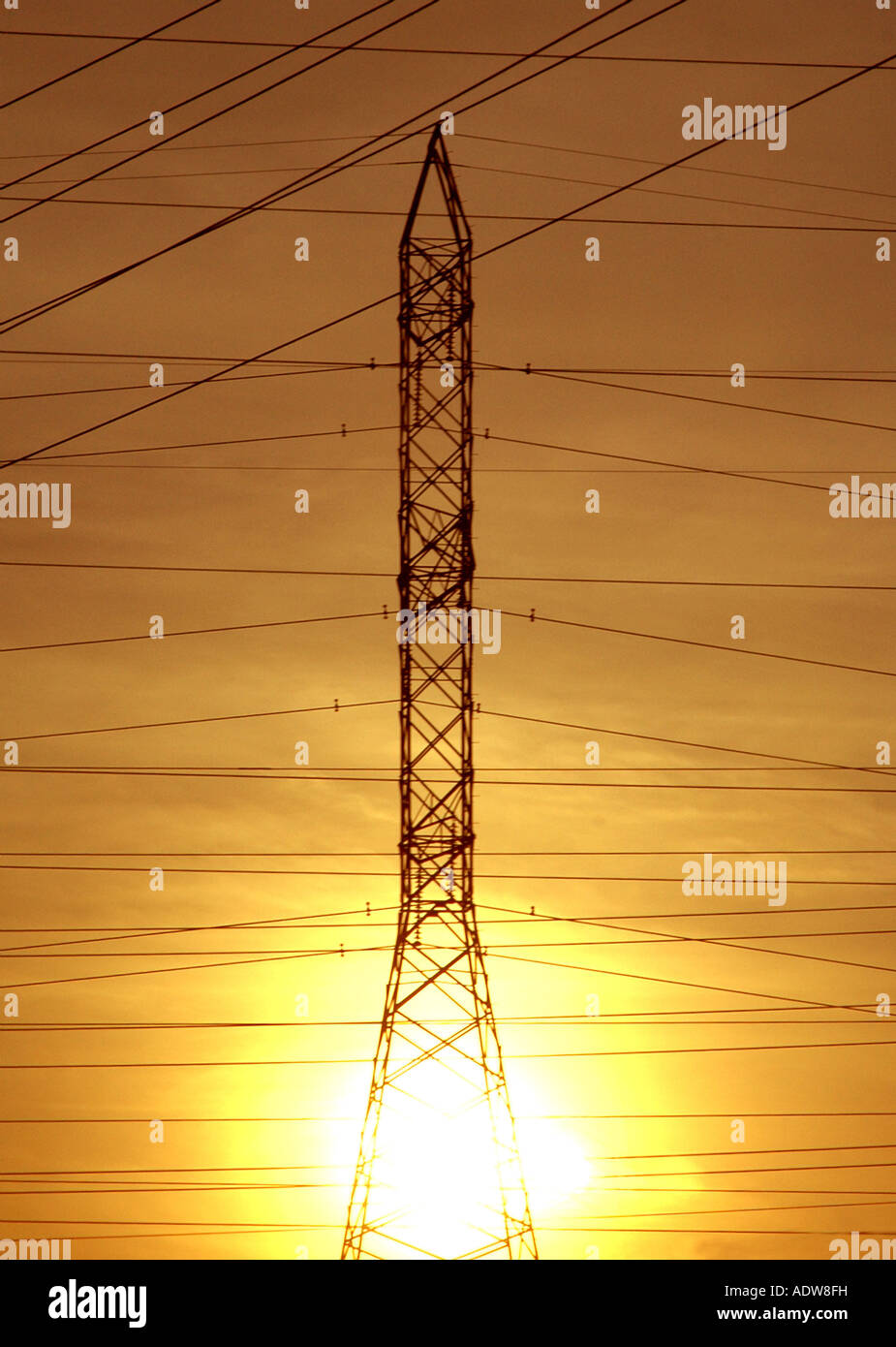 Electricity power tower and transmission lines in the rising sun. Stock Photo