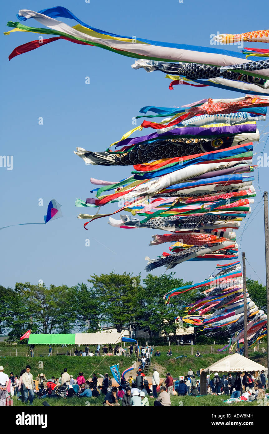 koi nobori carp kites Otako age giant kite flying festival Sagamihara