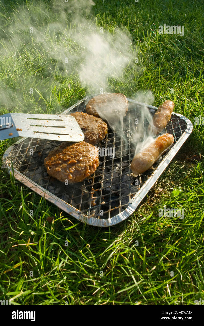 Barbecue - disposable bbq Stock Photo - Alamy