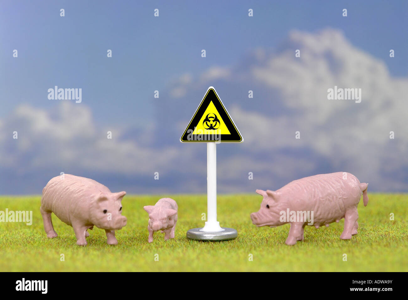 symbolic image for epidemic plague at Swines Stock Photo
