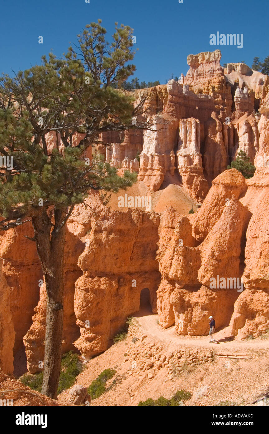 Utah Bryce Canyon National Park hiker approaching tunnel on Queen's Garden Trail Stock Photo