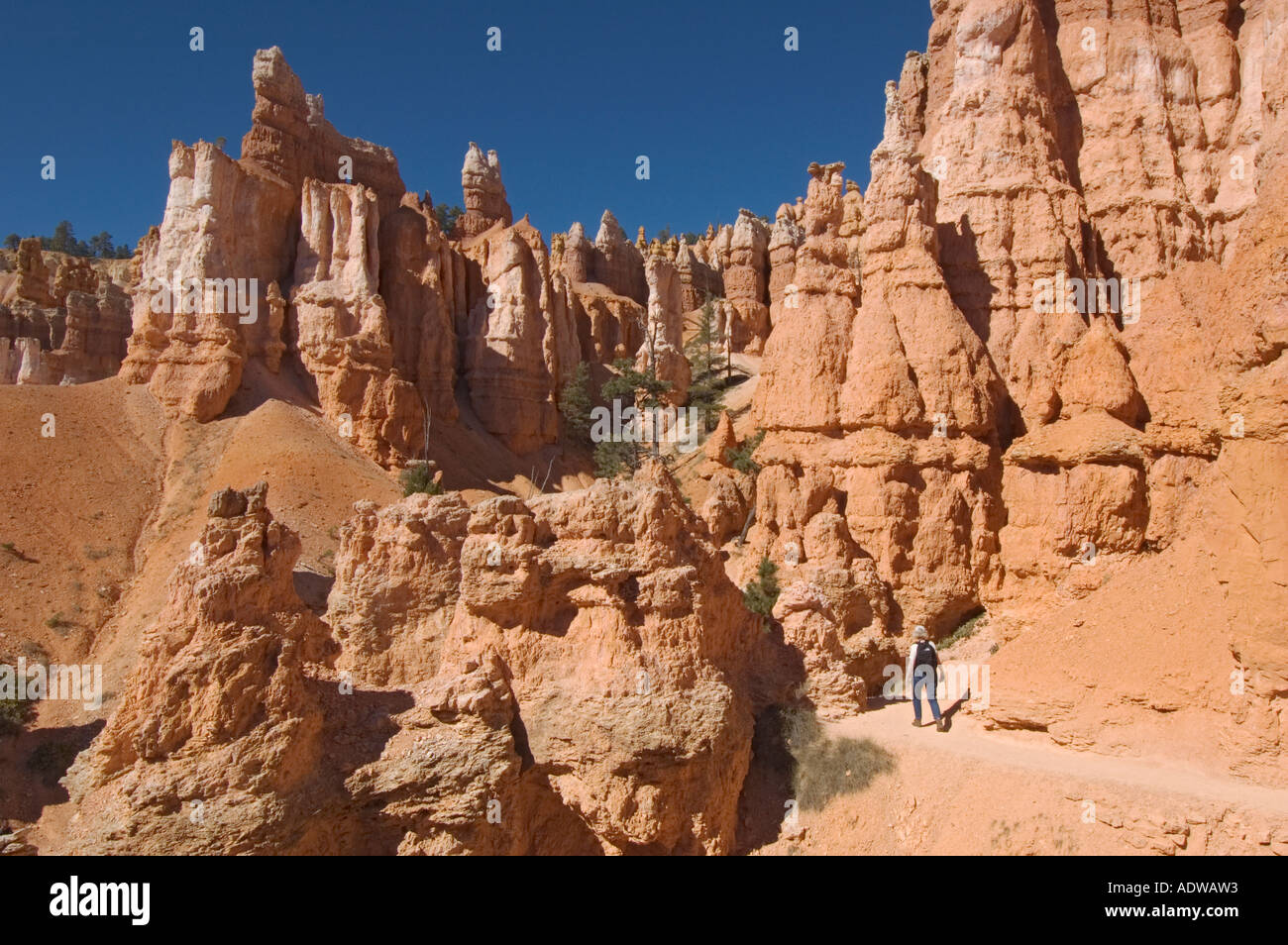 Utah Bryce Canyon National Park hiker on Queen's Garden Trail Stock Photo