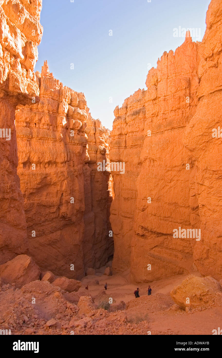 Utah Bryce Canyon National Park Wall Street Trail Stock Photo