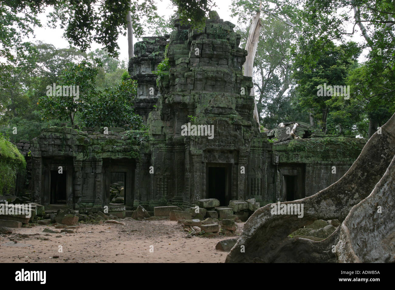 Famous tourist attraction Ta Phrom temple monument ruins in Angkor village Cambodia Asia Indochina Stock Photo