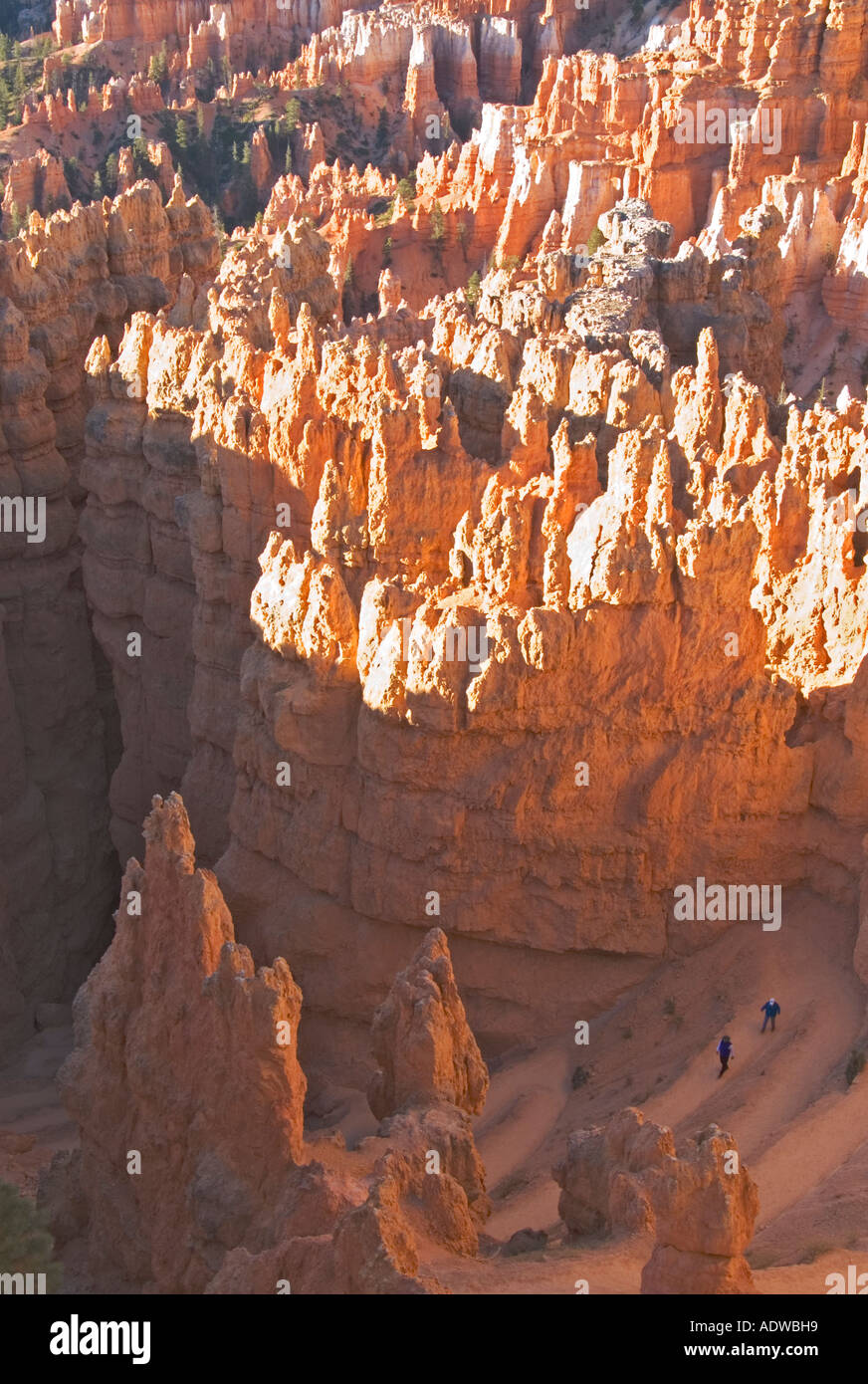Utah Bryce Canyon National Park hikers descending swithbacks on Wall Street Trail Stock Photo