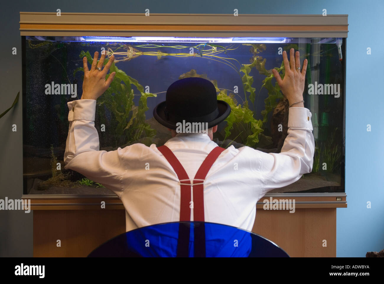 business man bowler hat,red braces,fish tank,idea,thought,dream Stock
