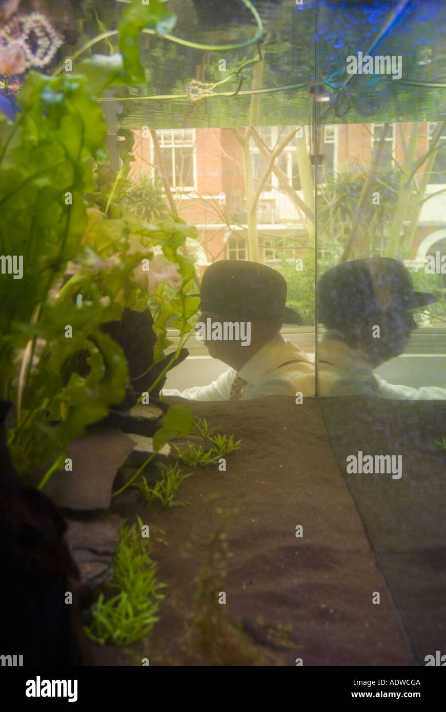 dream scene,fish tank,man in bowler hat.depression,thinking,think.ideas ...