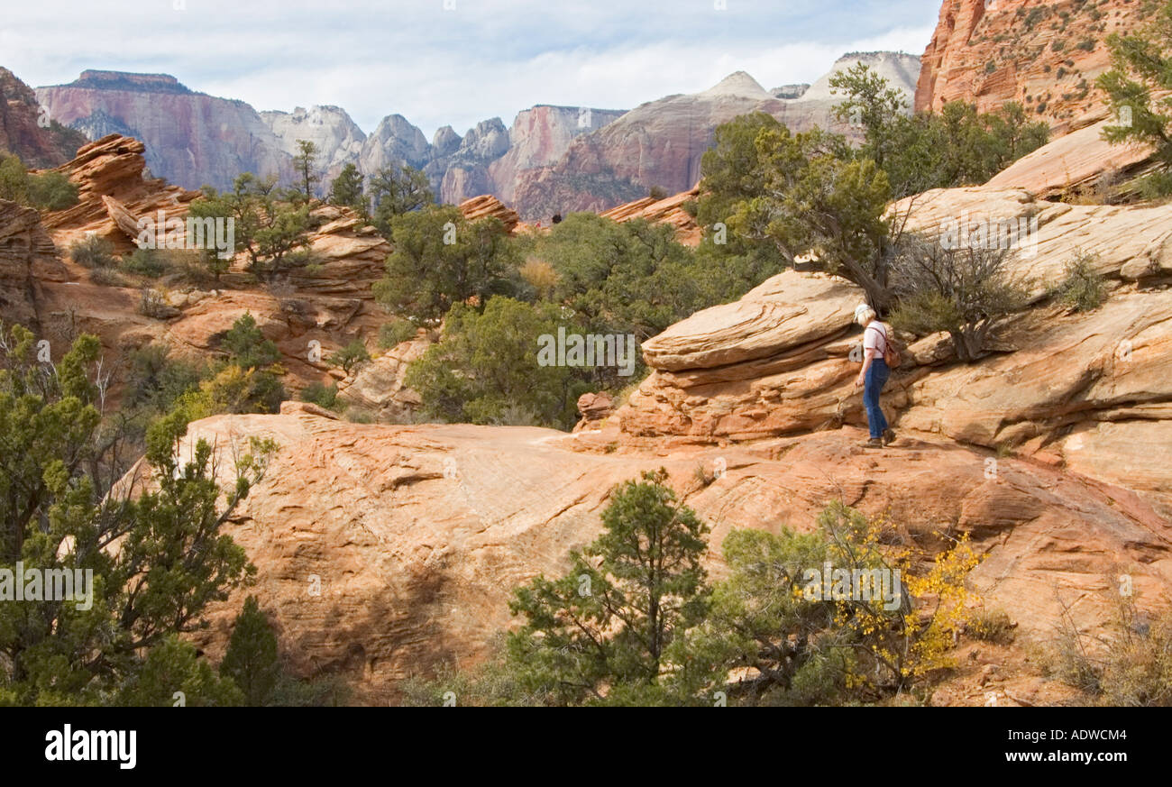 Utah Zion National Park Canyon Overlook Trail female hiker MR Stock Photo