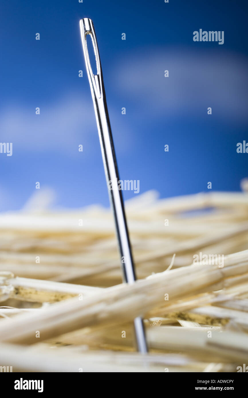 Detailed view of needle in a haystack Stock Photo Alamy