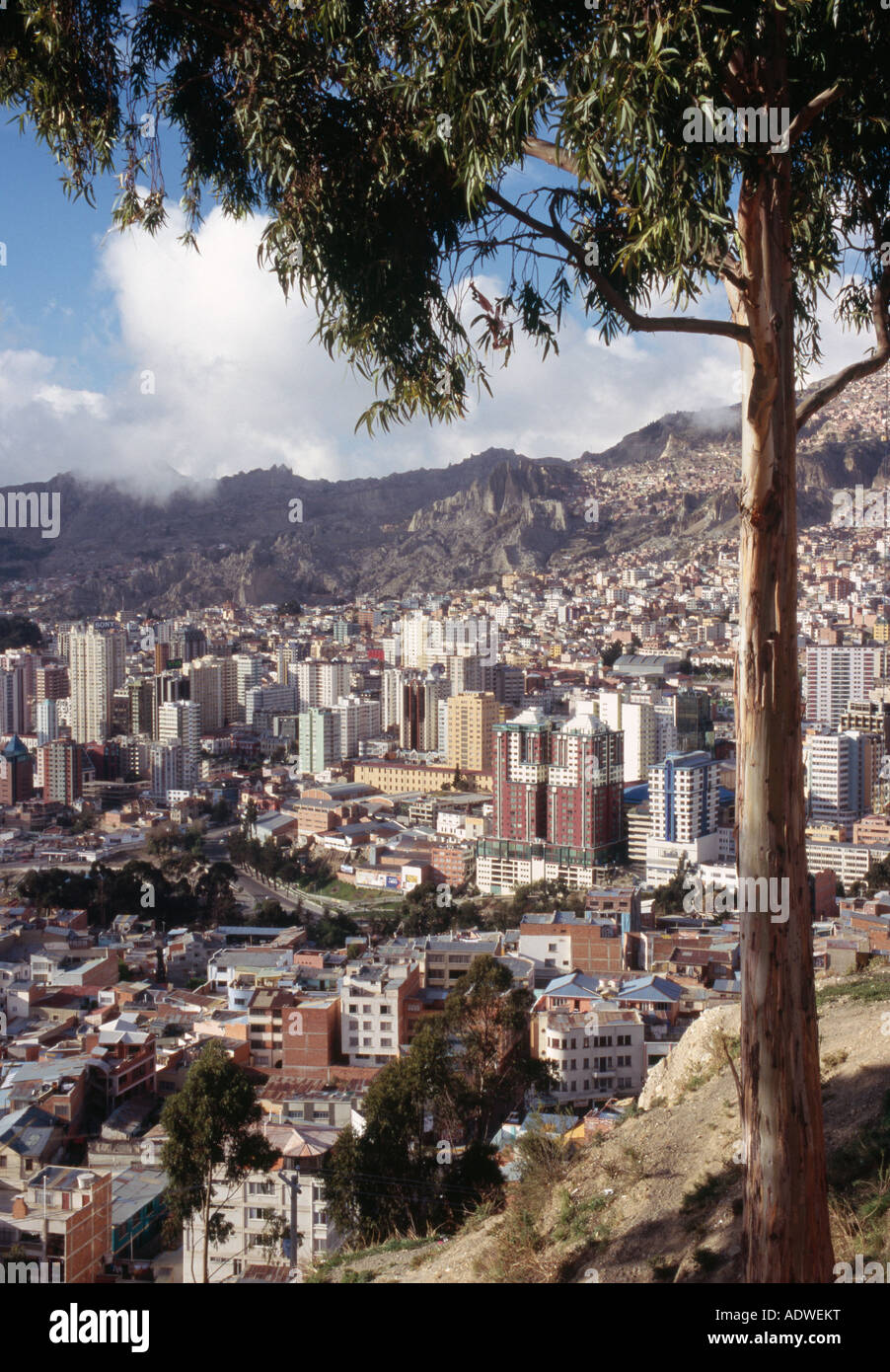 City skyline - La Paz, BOLIVIA Stock Photo - Alamy