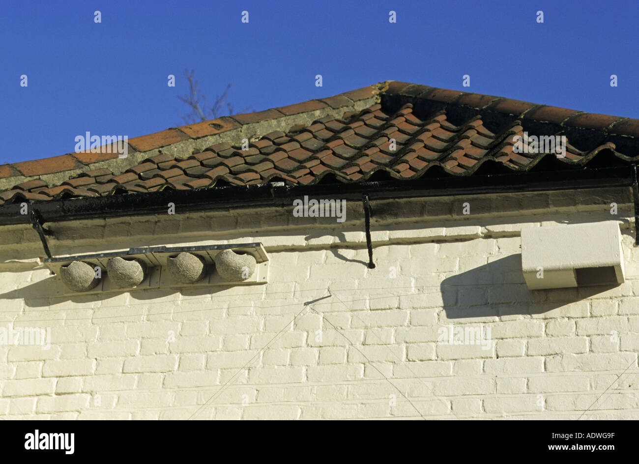 Bird Conservation Nest Boxes Swift and House Martin boxes under house roof Norfolk England July Stock Photo