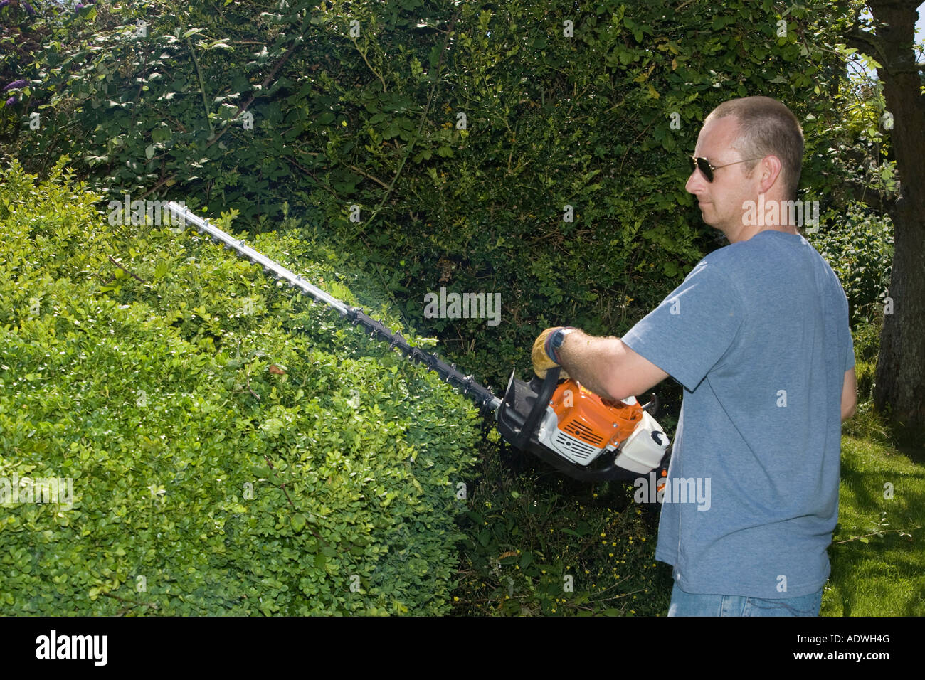 a man using a hedge trimmer Stock Photo