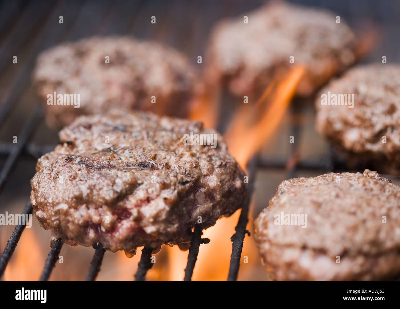 Hamburger patties cooking on grill Stock Photo Alamy