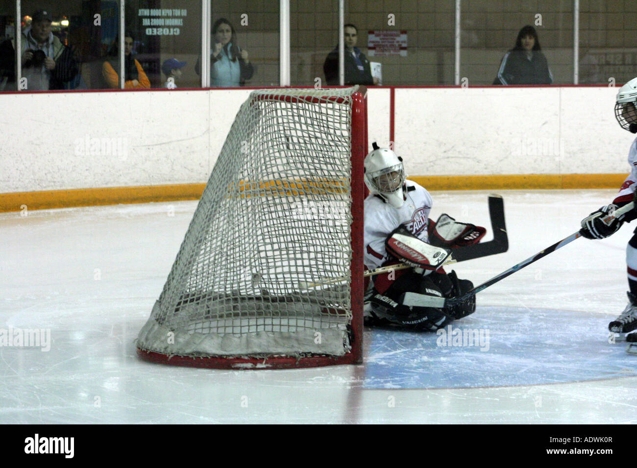 Youth ice hockey goalie Stock Photo Alamy