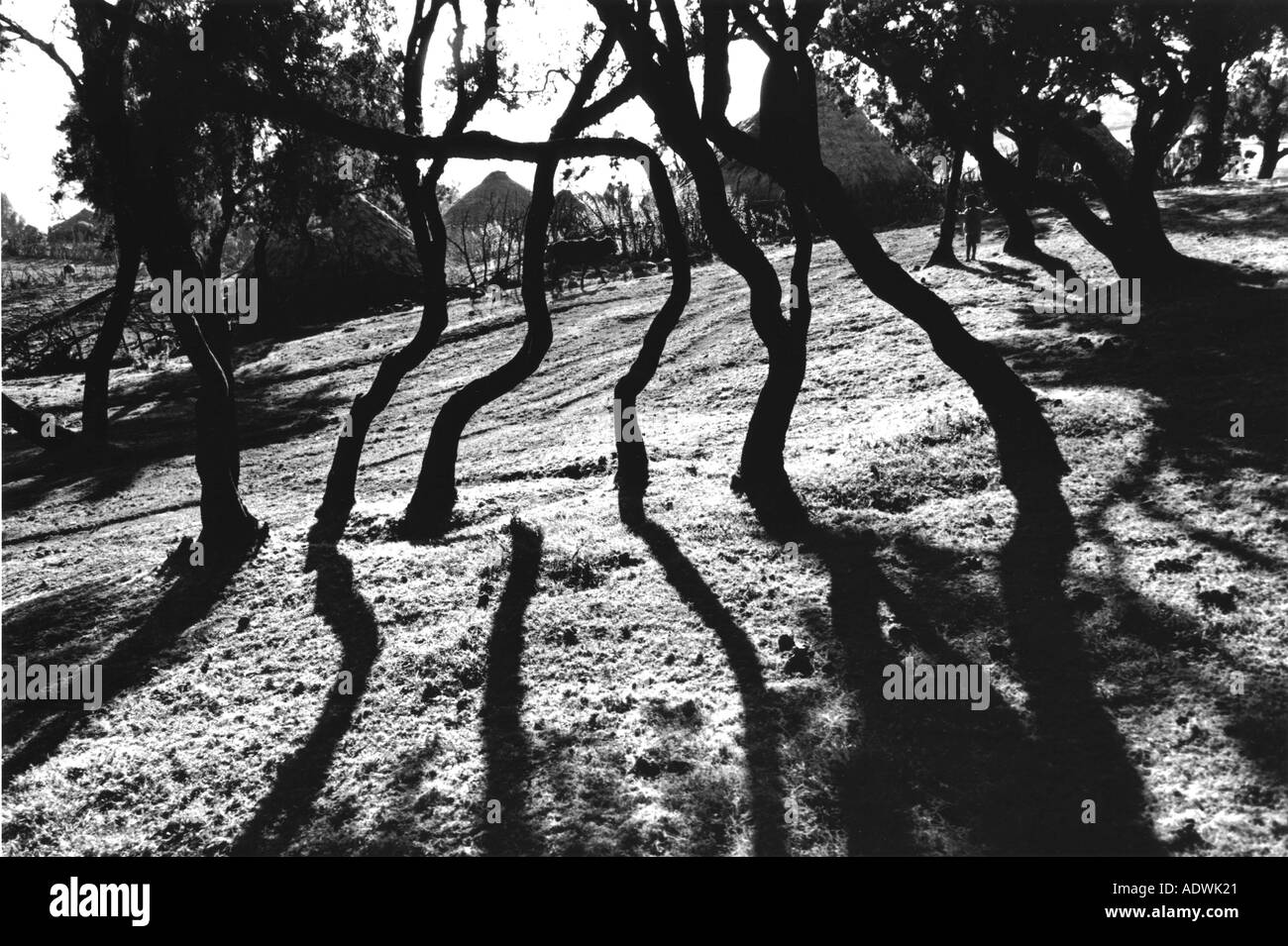 Ancient ethiopia Black and White Stock Photos & Images - Alamy