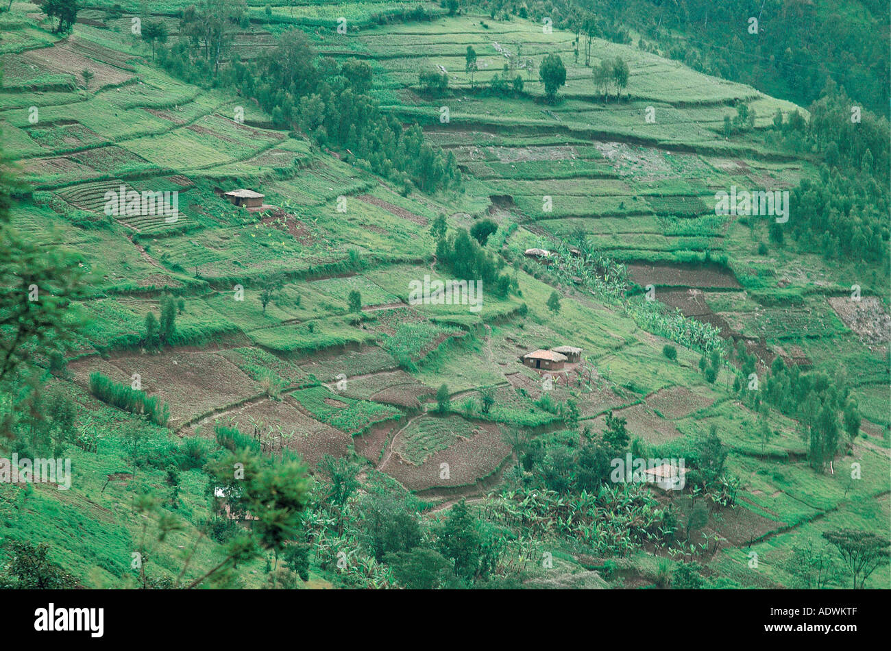 Homes and terraced farms cling to rugged hillsides in northern Rwanda central Africa Stock Photo
