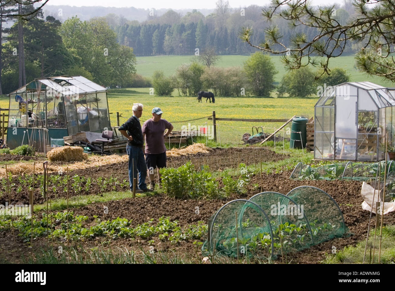 Gardeners chat beside their allotments Charlbury Oxfordshire United Kingdom Stock Photo